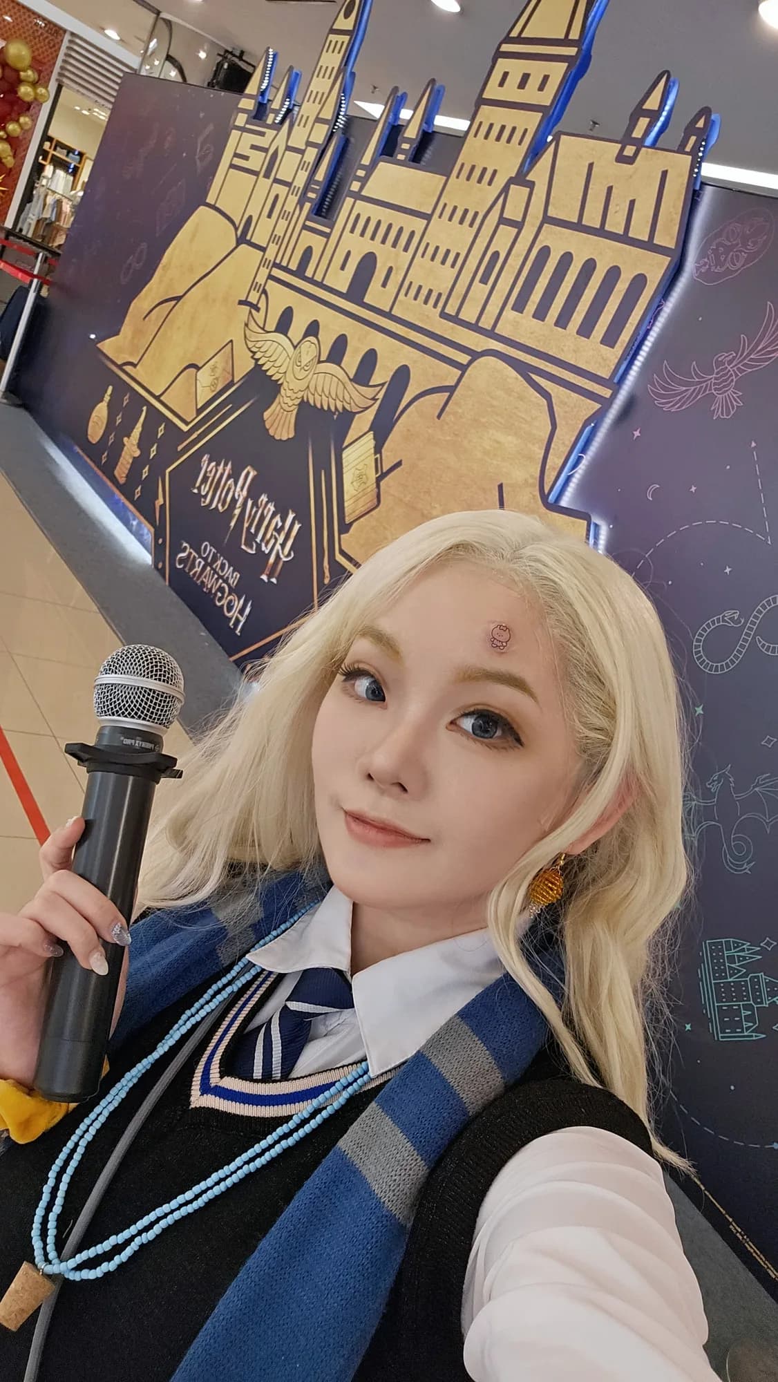 Cheetah X Harry Potter Collab